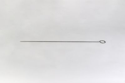 Prüflanze Ø 5 x 500 mm